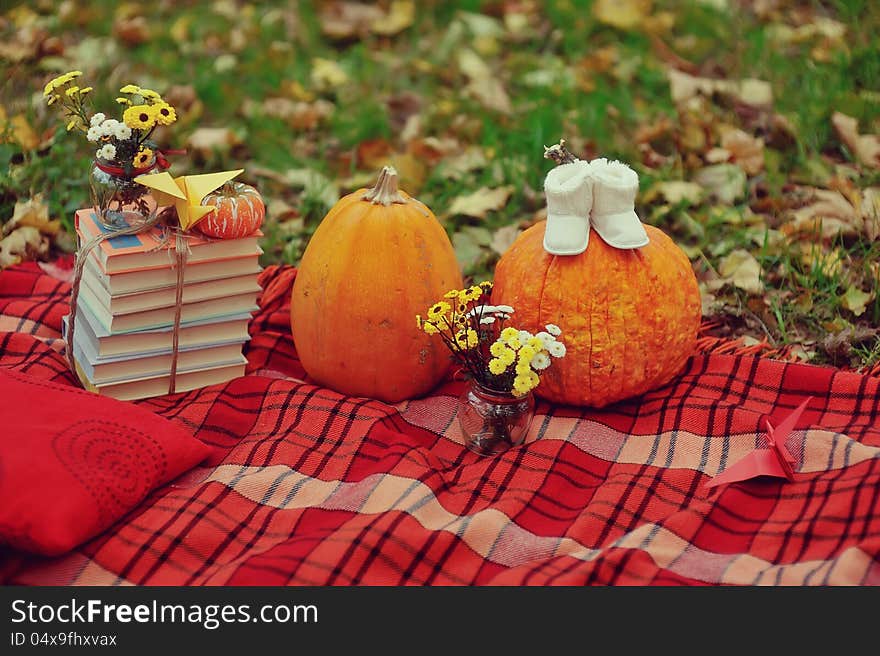 Colorful squash and mini pumpkins with fabric fall leaves for a harvest theme. Colorful squash and mini pumpkins with fabric fall leaves for a harvest theme