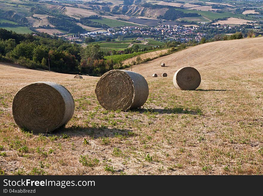 Romagna countryside with bales of hay