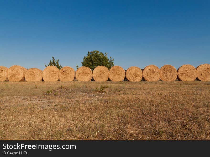 Row of bales of hay