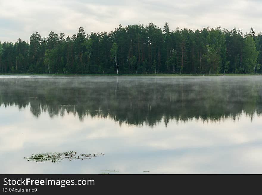 Reflection of forest in a lake