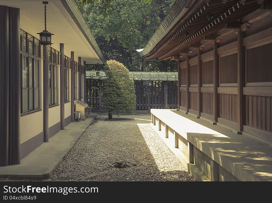 Half trimmed tree in the yard of Japanese temple. Half trimmed tree in the yard of Japanese temple