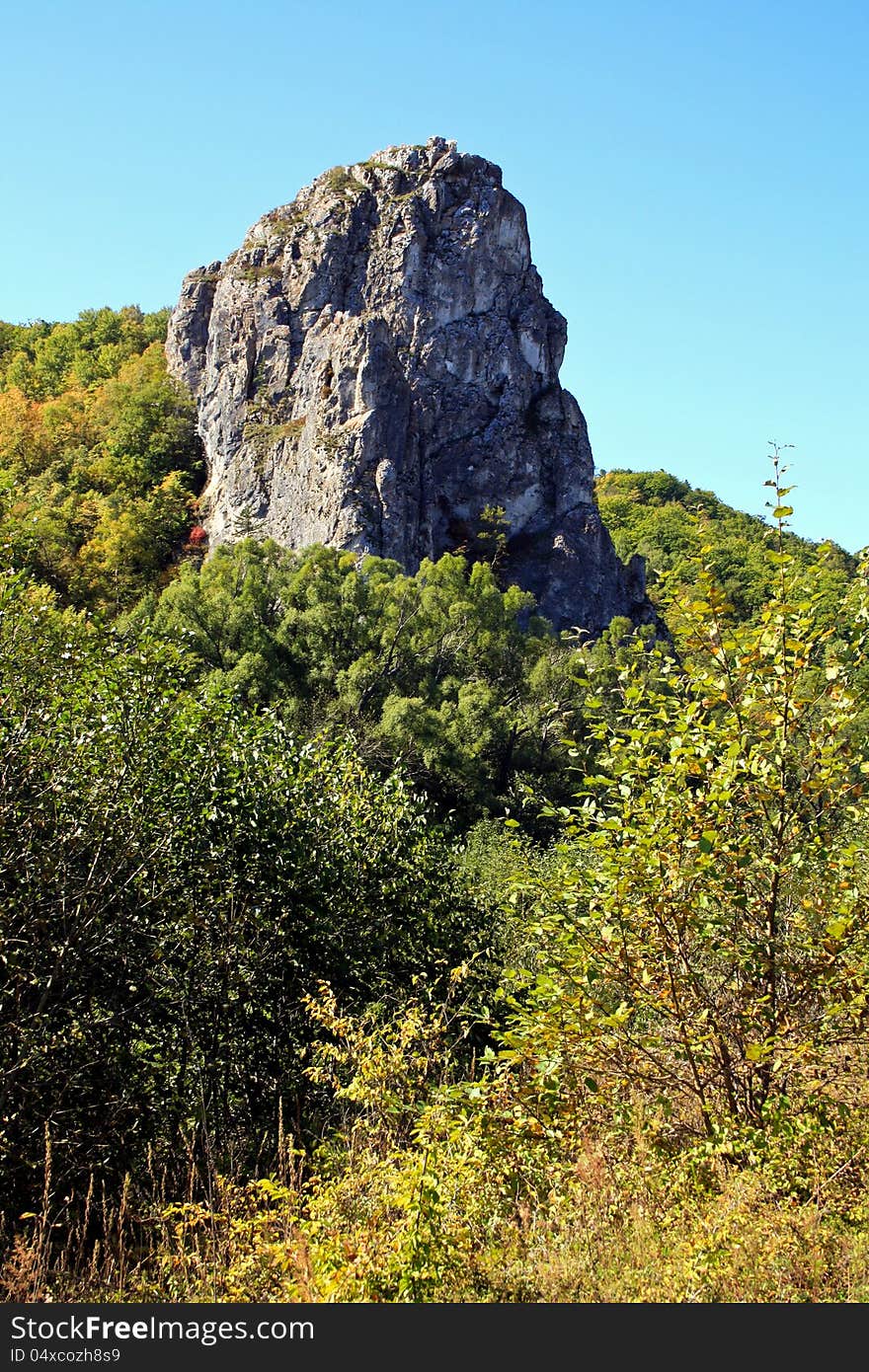 High Rock Among Wood. Rock In A Taiga.