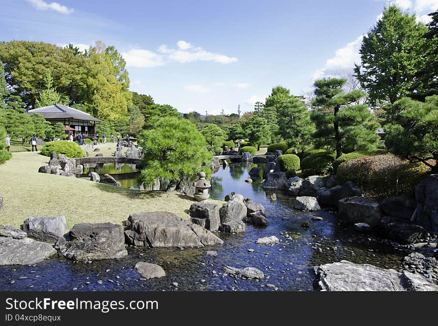 Garden with pond in japanese style