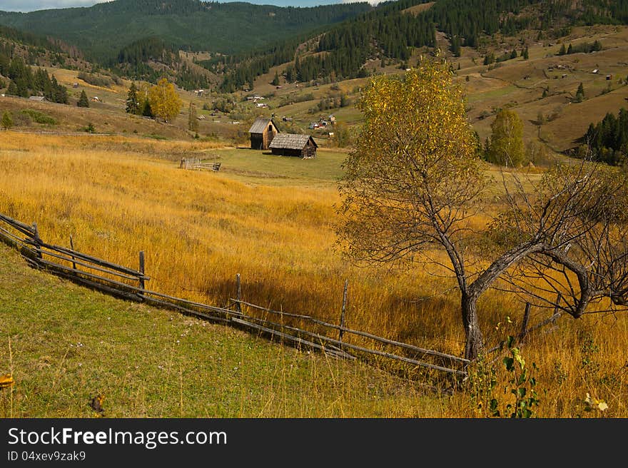 Meadow in the fall in Bucovina, Romania