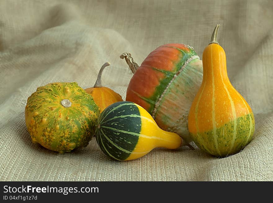 A group of different types of pumpkins