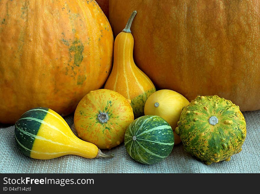 A group of different types of pumpkins