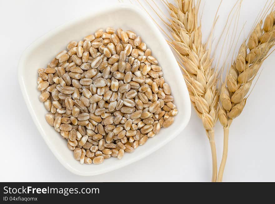 Grown wheat grains and ear on white background. Grown wheat grains and ear on white background