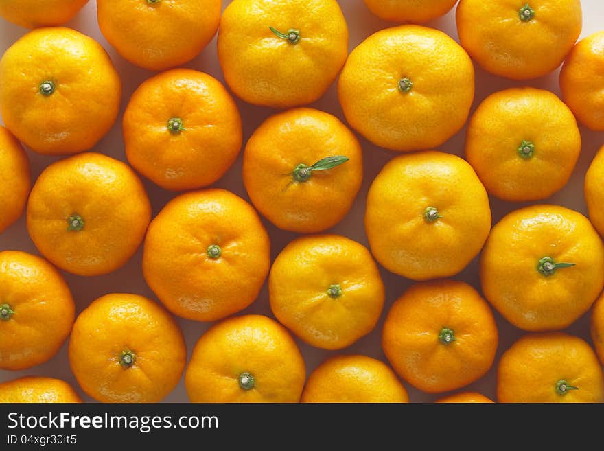 Lots Of Oranges With Water Drops