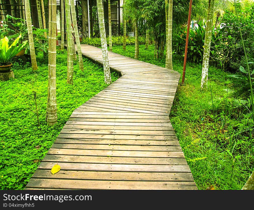 Wooden pathway.