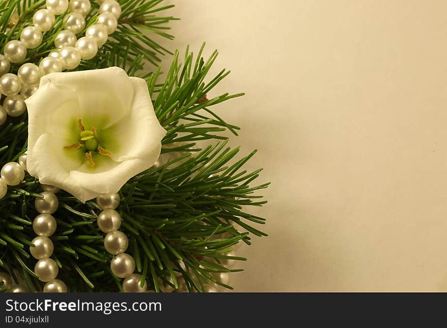 Beautiful christmas branch with white flower and perls