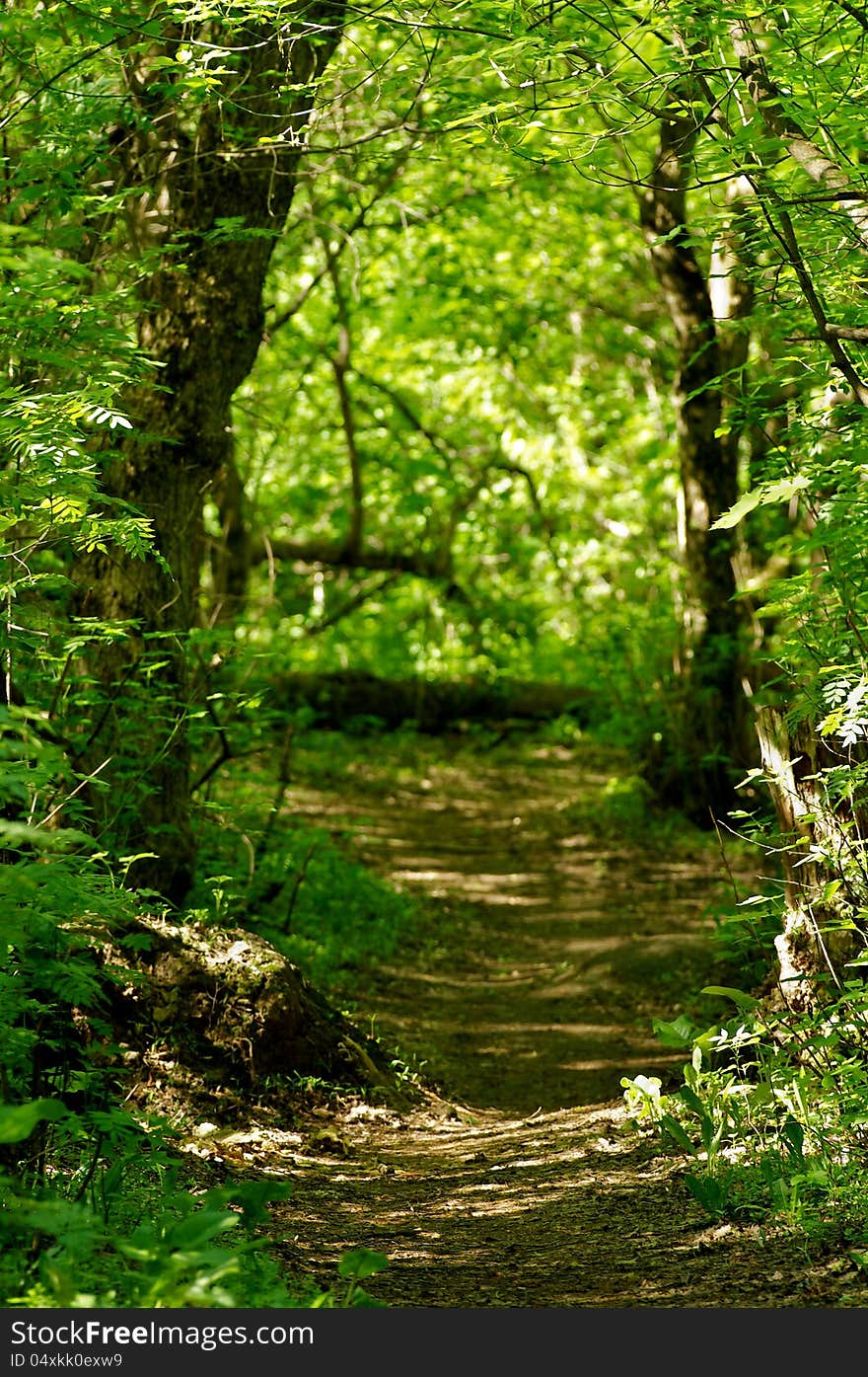 Footpath to Nowhere