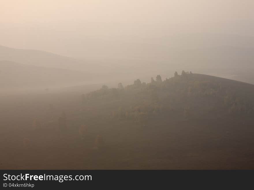 Morning grasslands