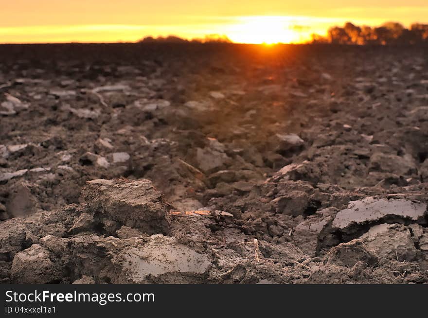 Agricultural land at twilight