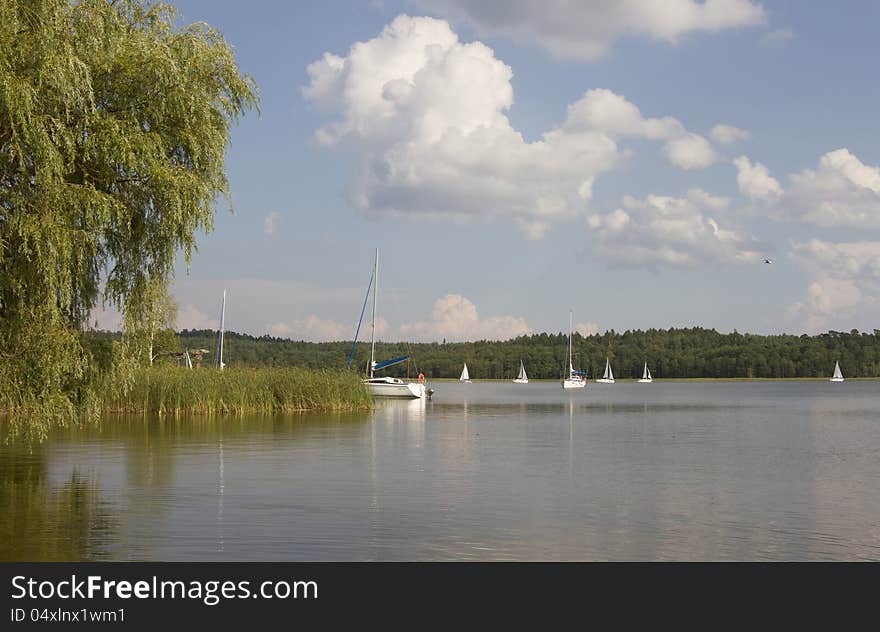 Lake Scene