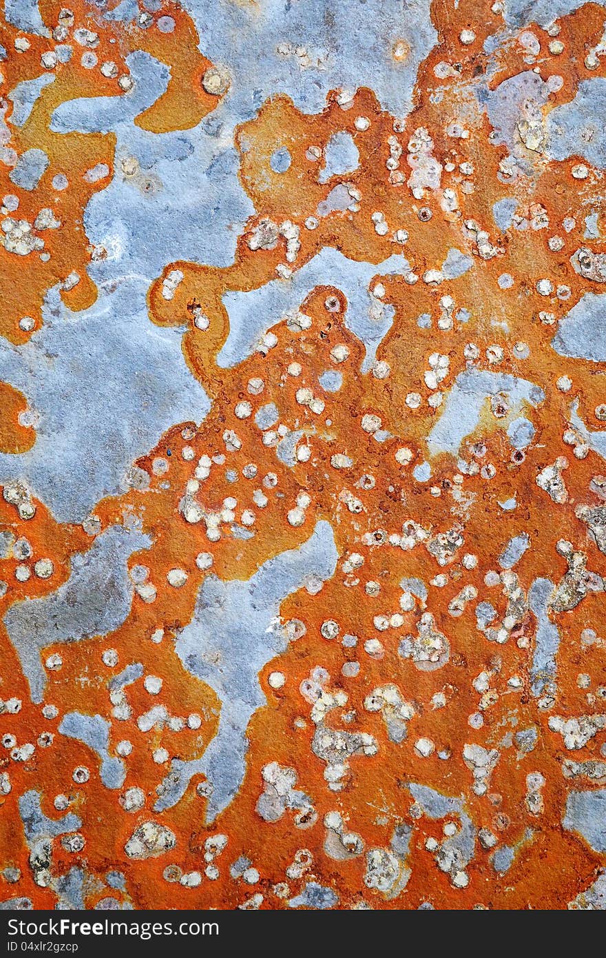 Orange algae and lichen composite covering the rough surface of a stone or rock creating an interesting abstract pattern. Orange algae and lichen composite covering the rough surface of a stone or rock creating an interesting abstract pattern