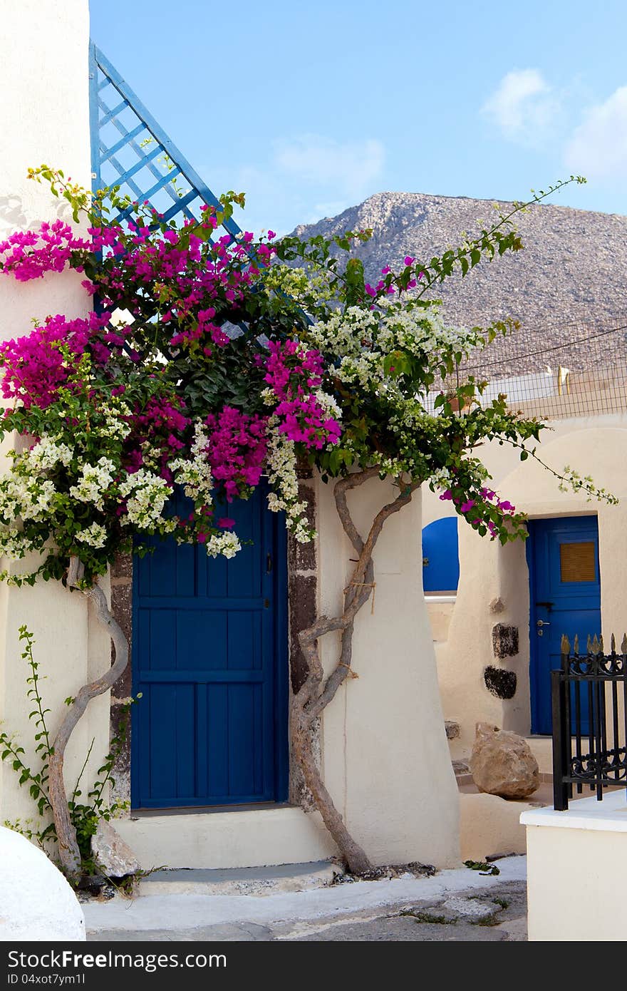 Flowers In Entrance To The House