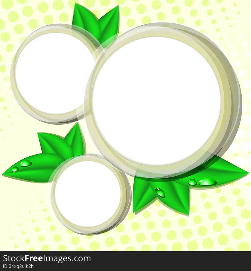 Round stickers or frames decorated with green leaves with dew. Round stickers or frames decorated with green leaves with dew