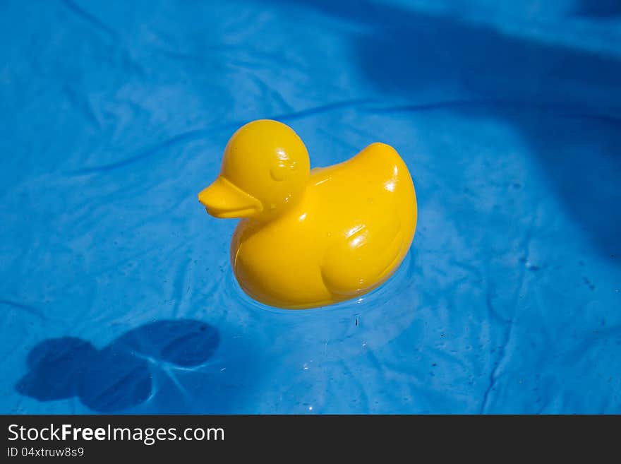 Yellow duck toy in the blue water of the small swimming pool. Yellow duck toy in the blue water of the small swimming pool