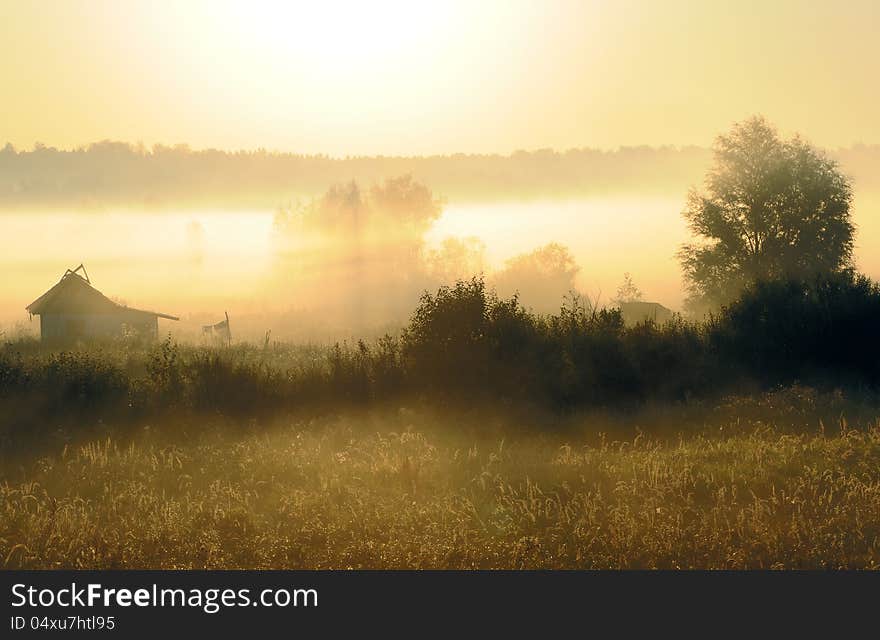 Foggy morning