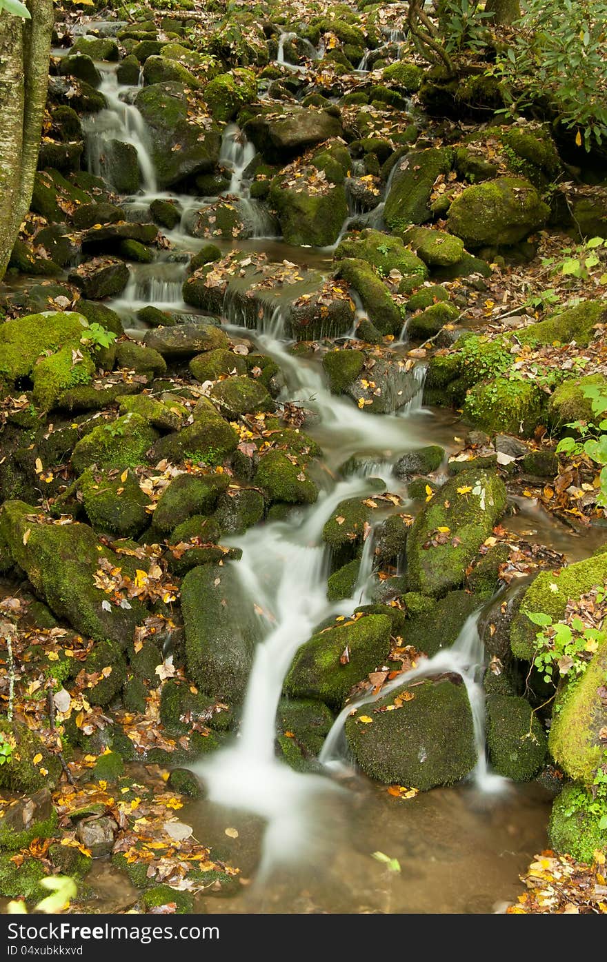 A small waterfall is surrounded by fall leaves.