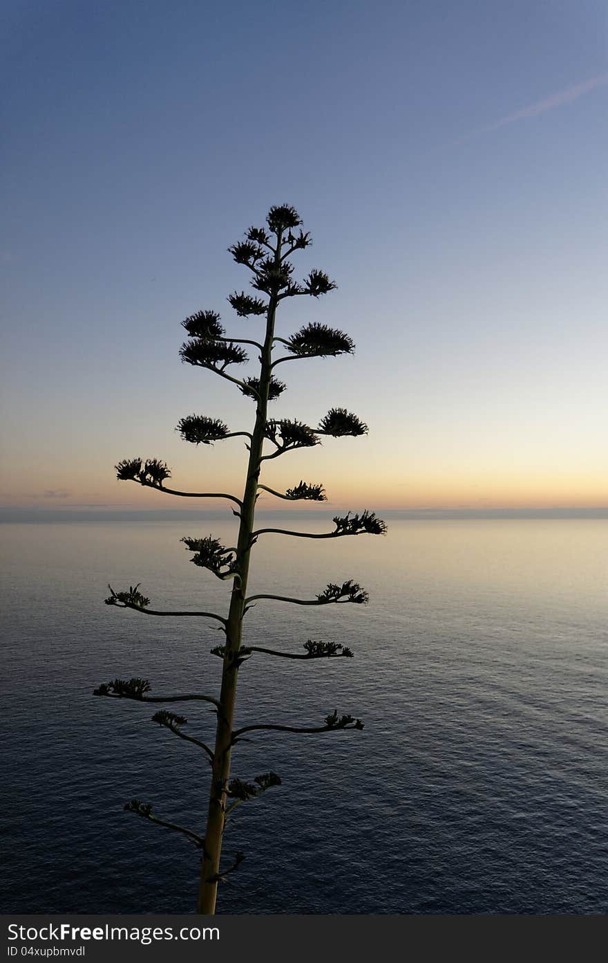 Romantic sunset on ligurian sea