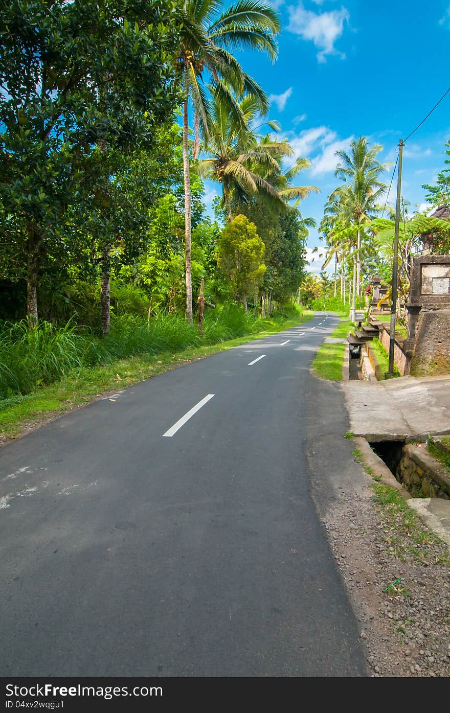 Narrow road bordered with palm trees in Bali, Indonesia. Narrow road bordered with palm trees in Bali, Indonesia