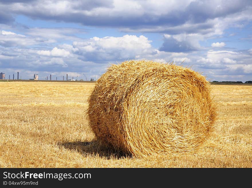 Beautiful wheaten field with sheaf