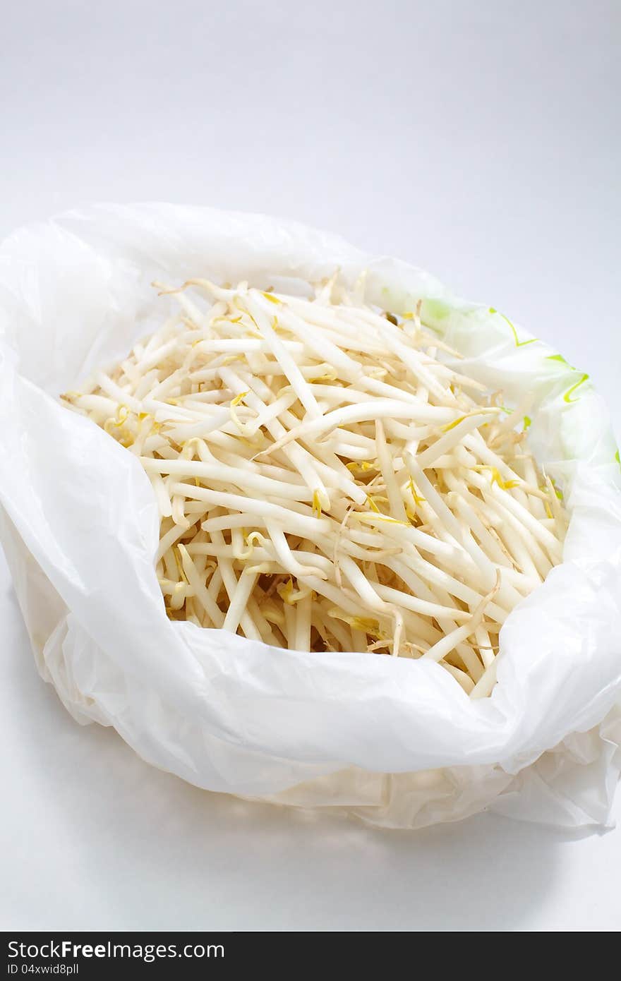 Bean Sprouts