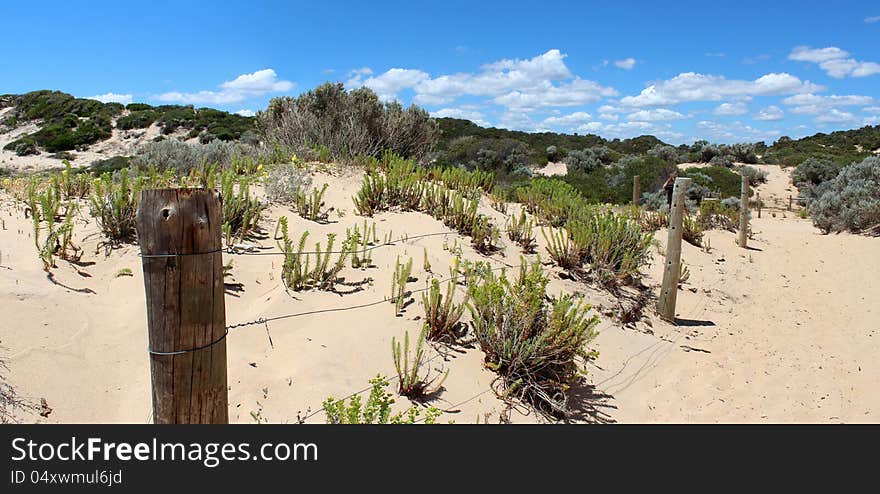 Panorama Of Coastal Fence Landscape