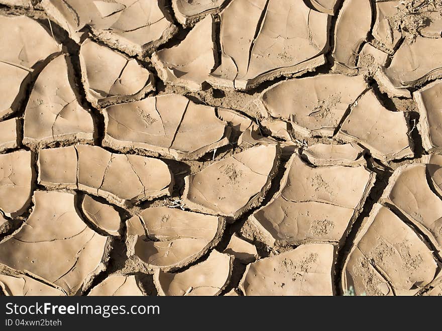 Dried and cracked earth background. Dried and cracked earth background