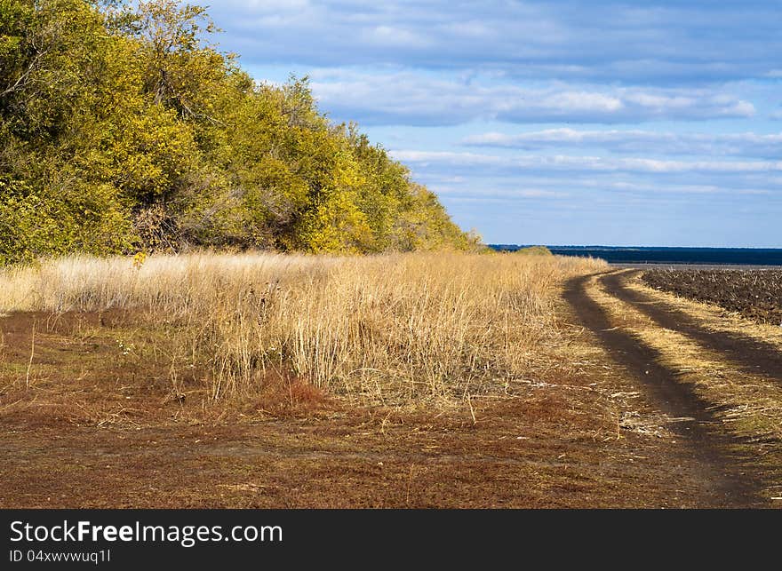 Beautiful landscape. The road near the wood. Autumn.