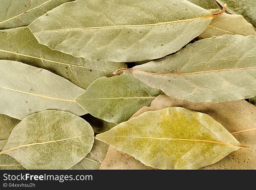 Arrangement of bay leaves