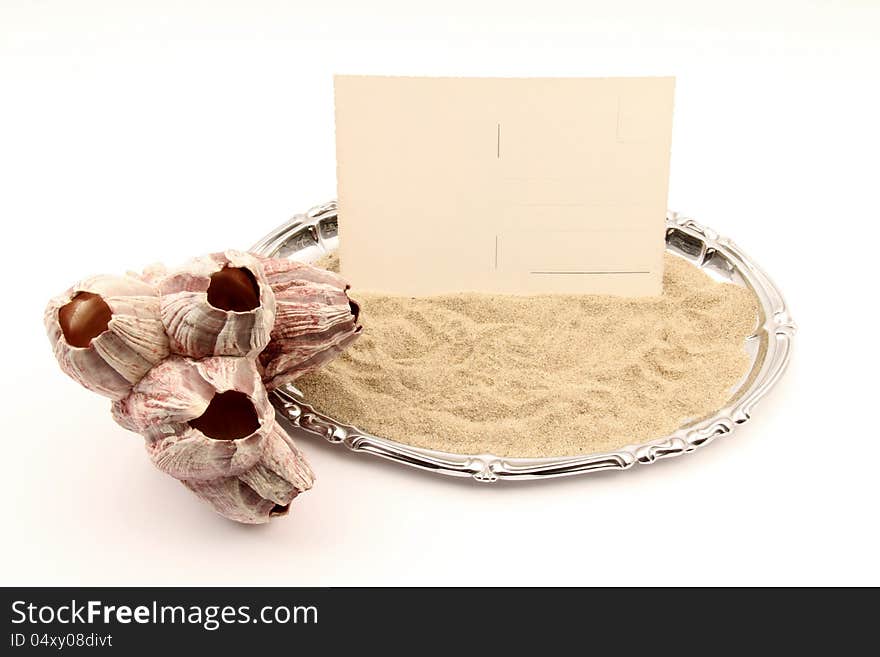 Serving Tray With Seashell