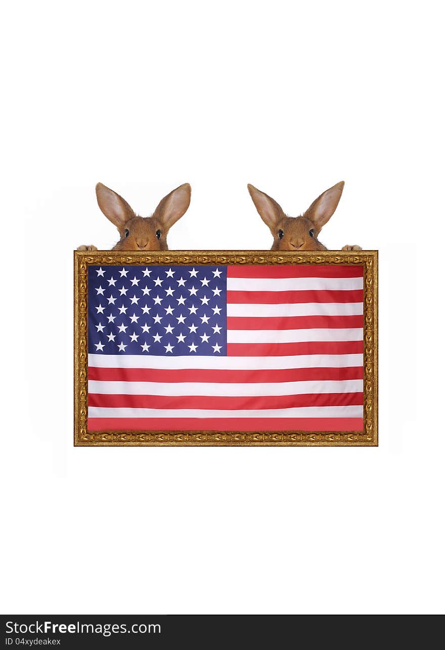 Two rabbits against the American flag