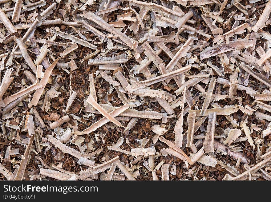 Wooden sawdust and Wood chips texture shavings background