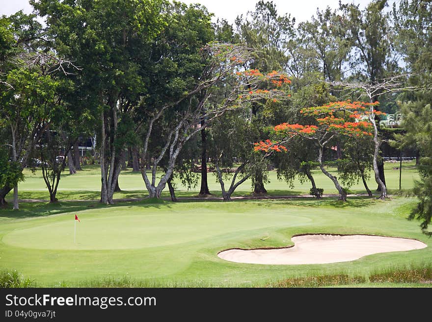 Color image of putting green and sand trap in a golf course. Color image of putting green and sand trap in a golf course.