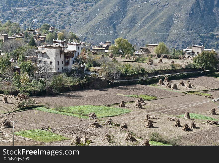 Tibetan village scene