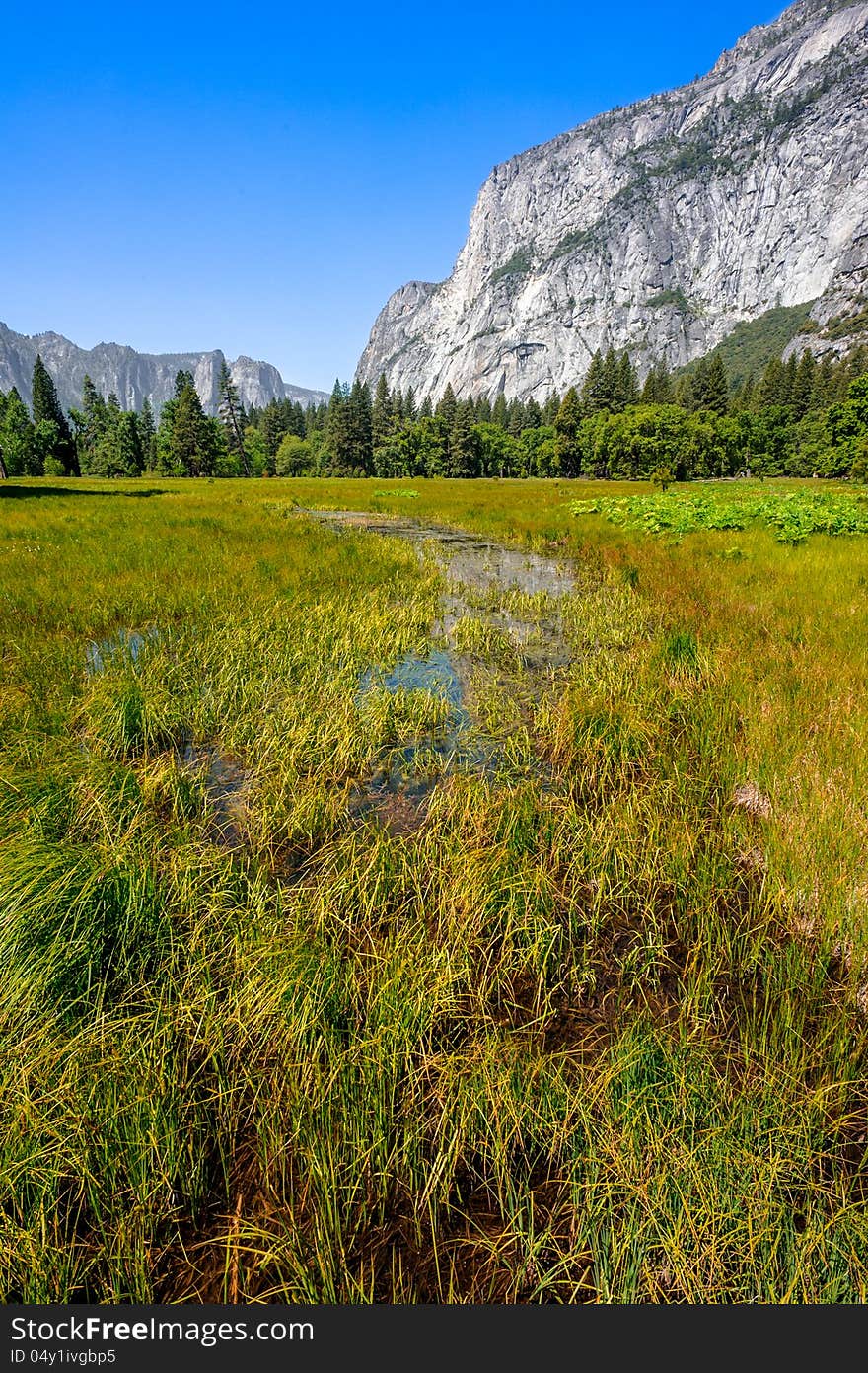 Yosemite valley view on a sunny day