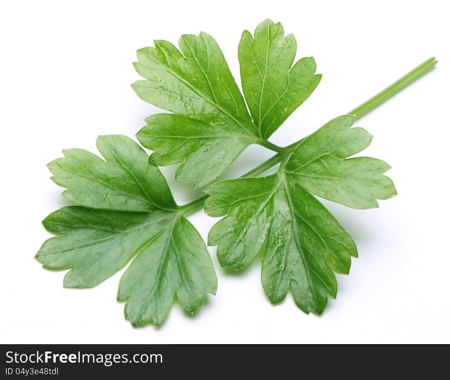 Parsley on a white background. Parsley on a white background.