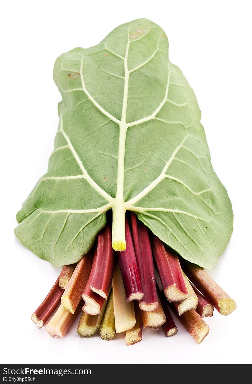 Rhubarb stalks on a white background. Rhubarb stalks on a white background.