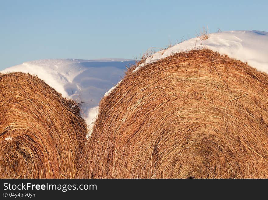 Snow-covered Hay Bales