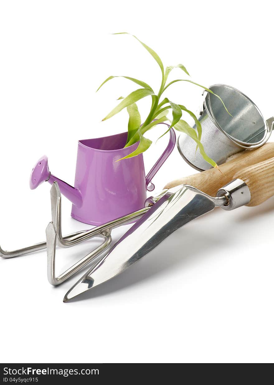 Purple Watering Can with Green Plant, Tin Bucket and Gardening Tools isolated on white background