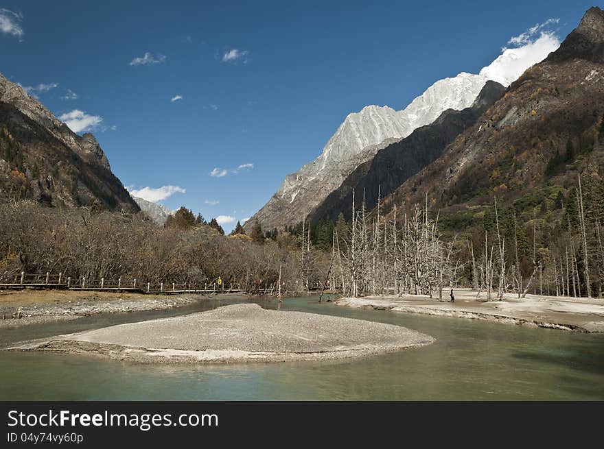 A stream in the vally