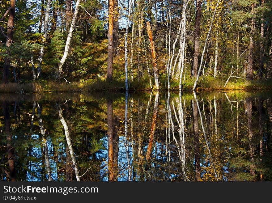 Forest lake reflections in autumn day, in Laajasalo, Finland