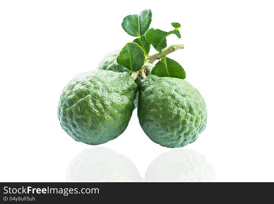 Kaffir lime Or Bergamot Fruit On White,This Fruit is Like Amazing Herb in Thailand. Kaffir lime Or Bergamot Fruit On White,This Fruit is Like Amazing Herb in Thailand