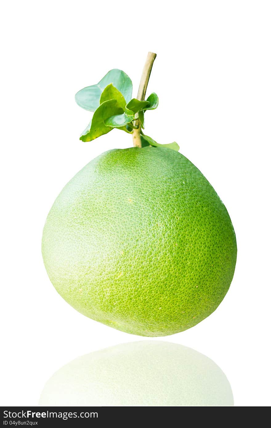 Green Pomelo On White With Soft Shadow On Background. Green Pomelo On White With Soft Shadow On Background