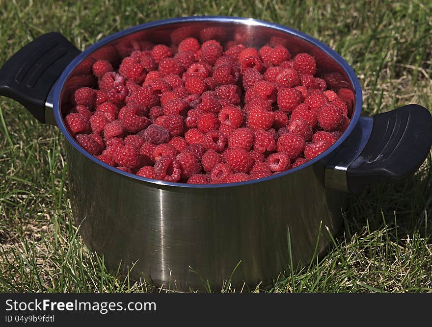 Fresh Ripe Raspberries.