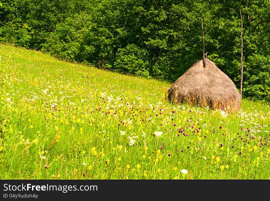 Beautiful countryside landscape with flowers, grass and haystack