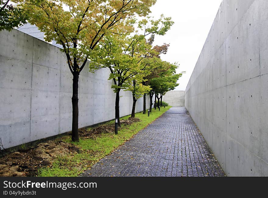 Path with cherry-blossom trees at osaka prefectural sayamaike museum, osaka, japan