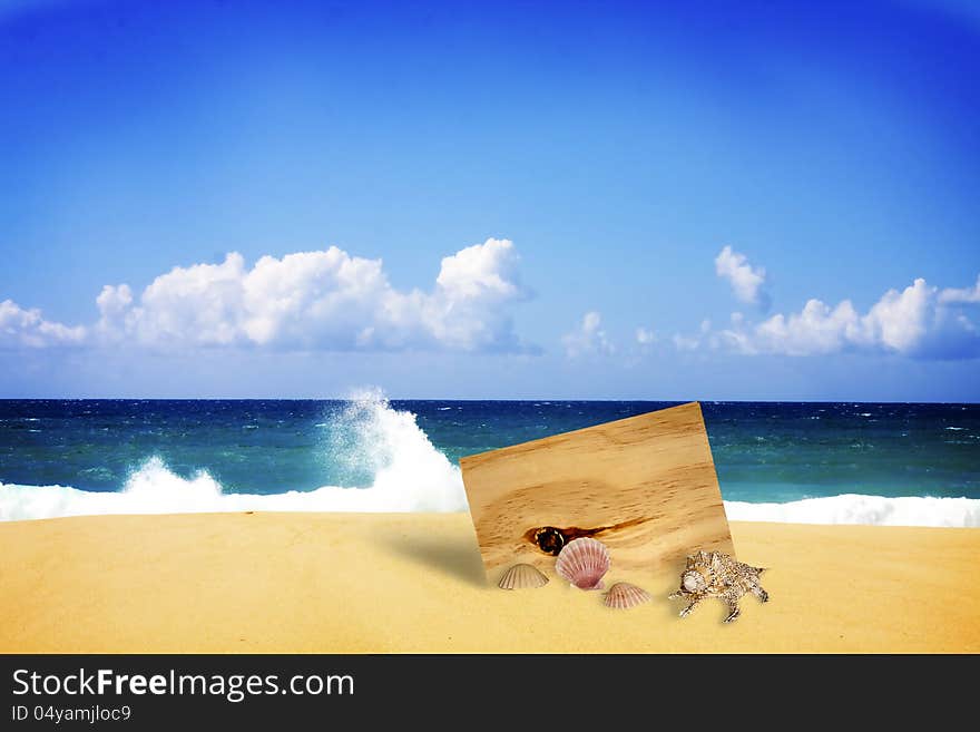 Wooden board buried in beach sand with shells